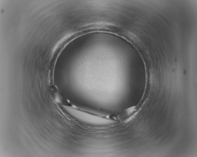 X0000053081164200508011958