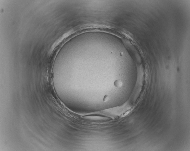 X0000053081165200508011958