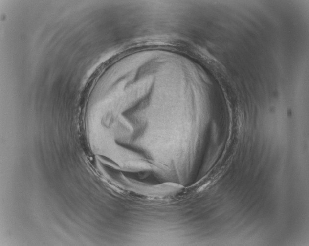 X0000053081166200508011958