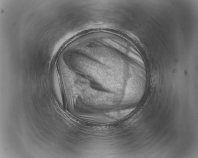 X0000053081167200508011958