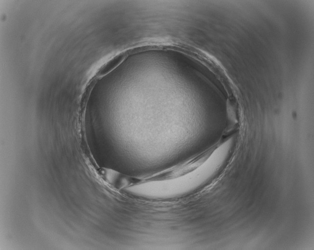 X0000053081168200508011958