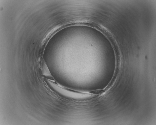 X0000053081169200508011958