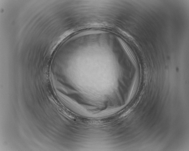 X0000053081170200508011958