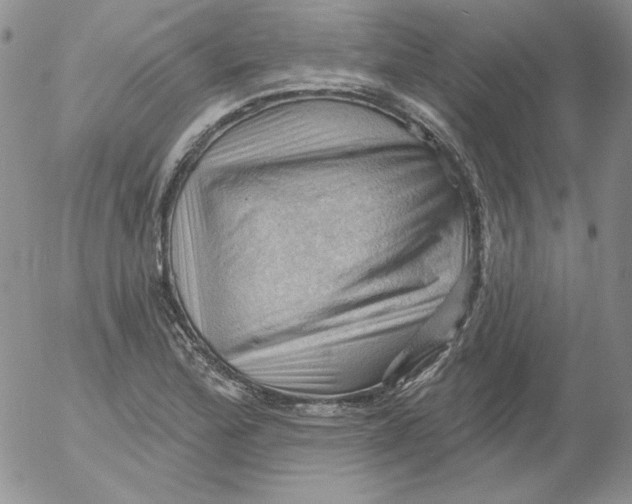 X0000053081172200508011958