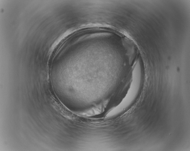 X0000053081173200508011958