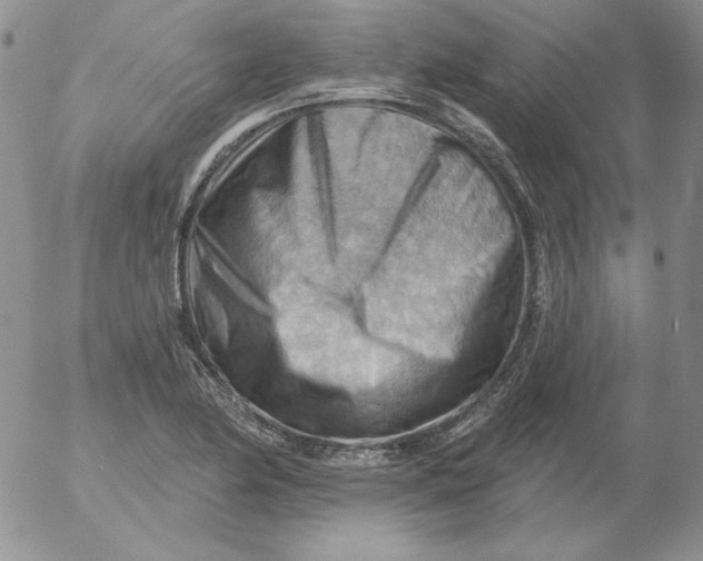 X0000053081174200508011958