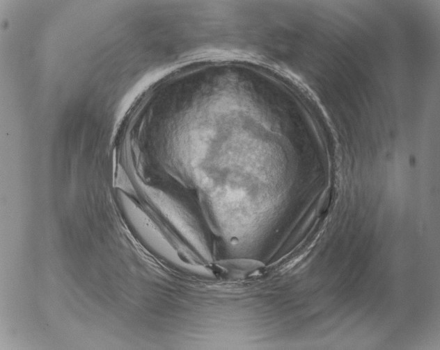 X0000053081175200508011958