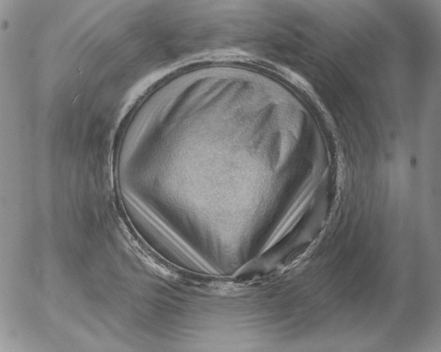 X0000053081176200508011958