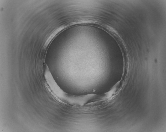 X0000053081177200508011958