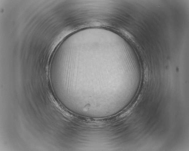 X0000053081178200508011958