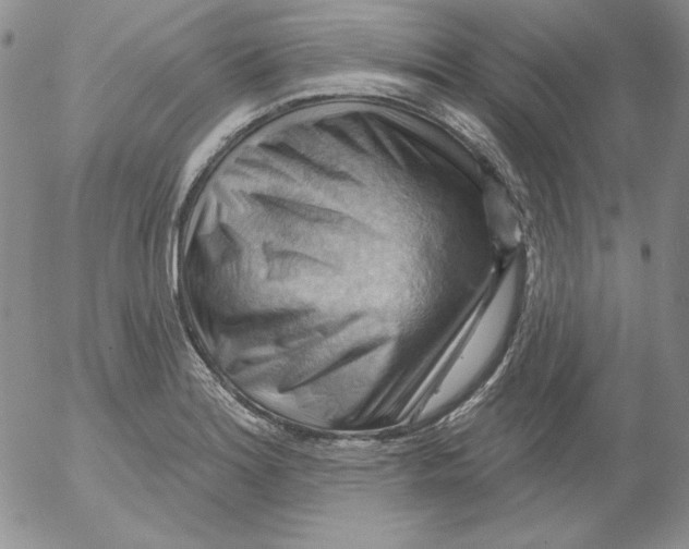 X0000053081180200508011958