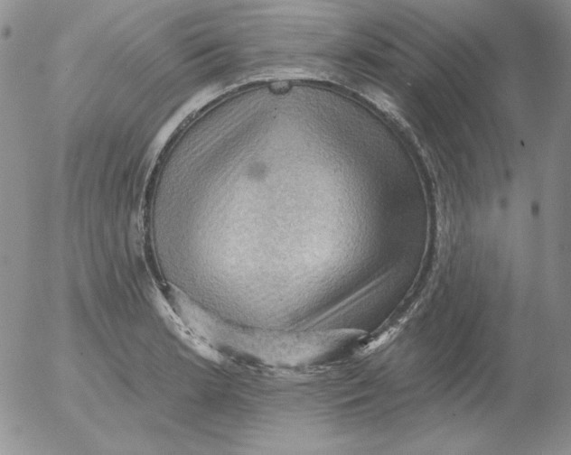 X0000053081181200508011958