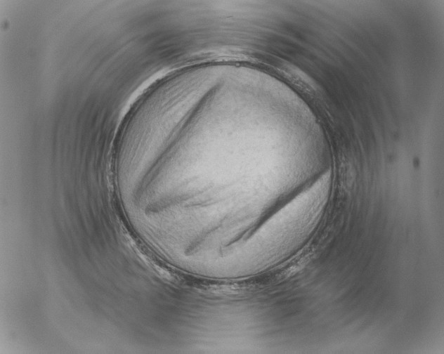 X0000053081182200508011958