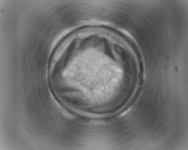 X0000053081183200508011958