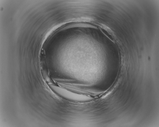 X0000053081184200508011958