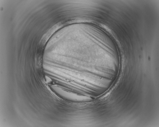 X0000053081185200508011958