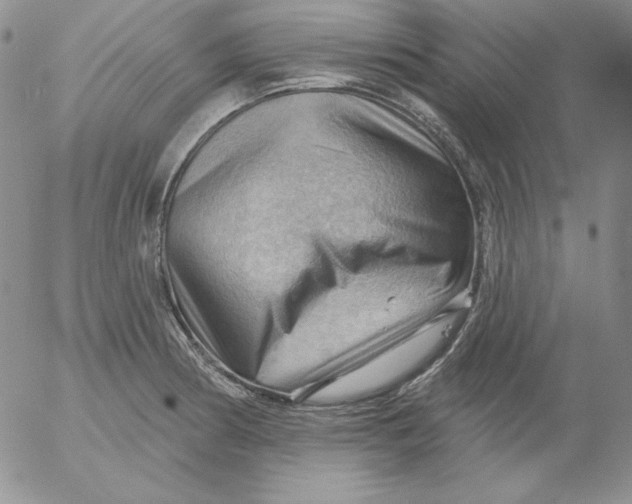 X0000053081186200508011958