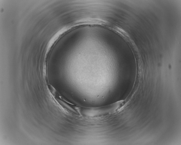 X0000053081188200508011958