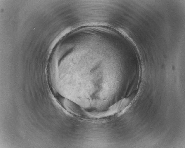 X0000053081189200508011958