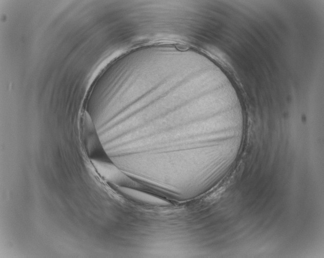 X0000053081190200508011958