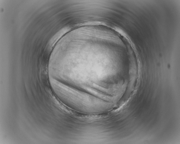 X0000053081193200508011958