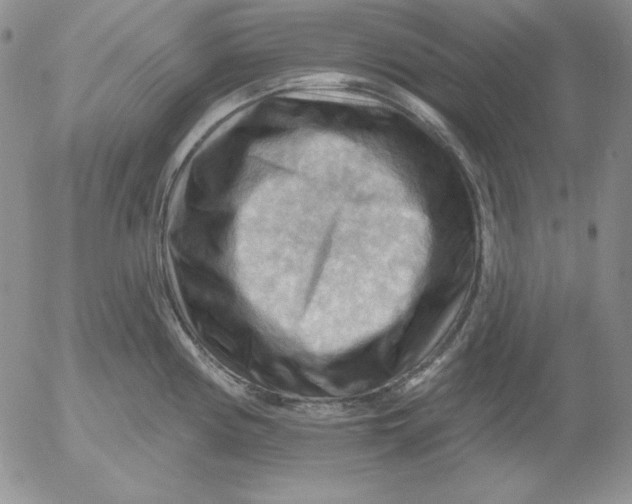 X0000053081194200508011958