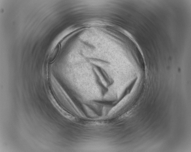 X0000053081195200508011958