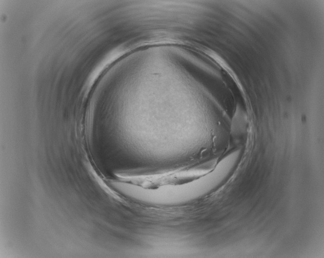 X0000053081197200508011958