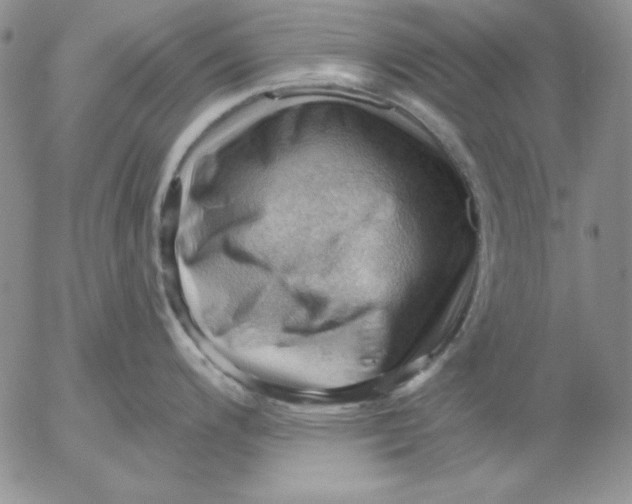 X0000053081200200508011958