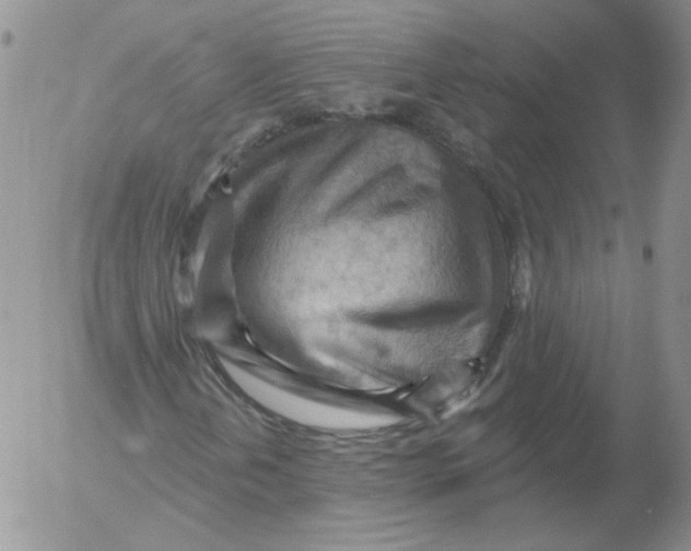 X0000053081202200508011957