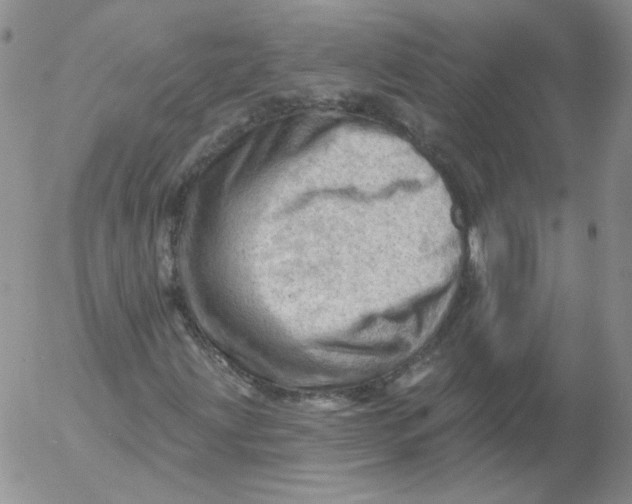 X0000053081203200508011957