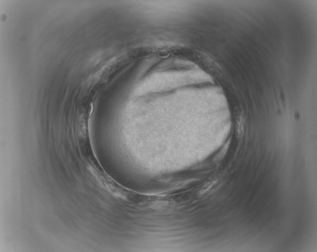 X0000053081204200508011957