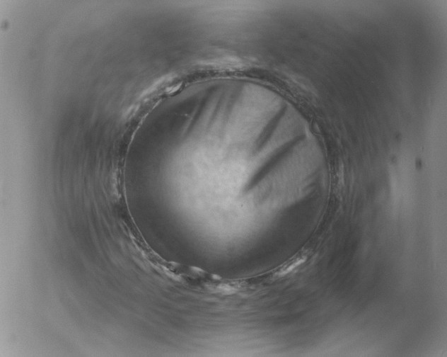 X0000053081205200508011957