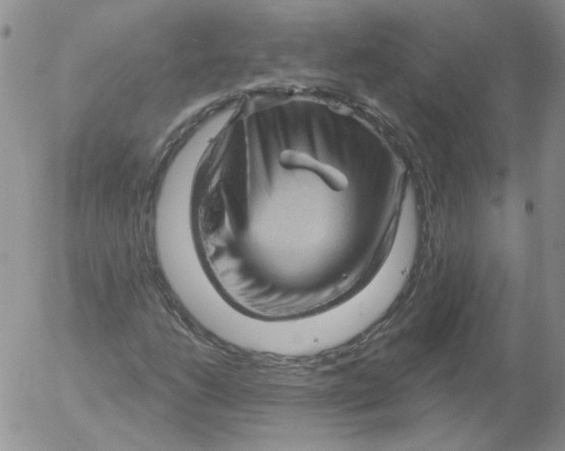 X0000053081206200508011957