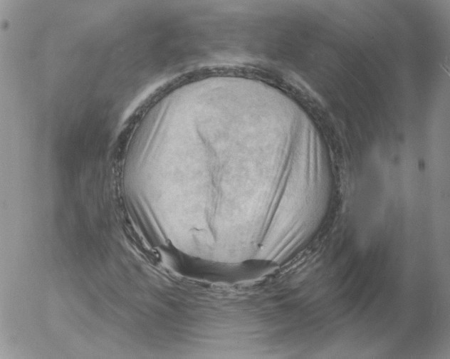 X0000053081208200508011957