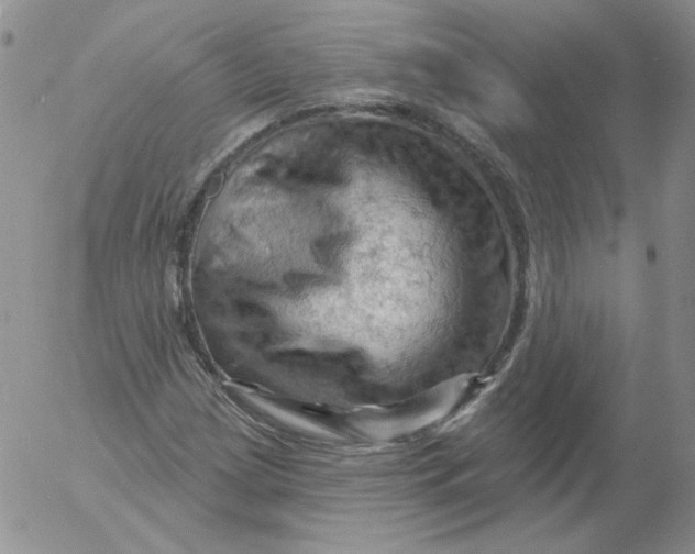 X0000053081209200508011957