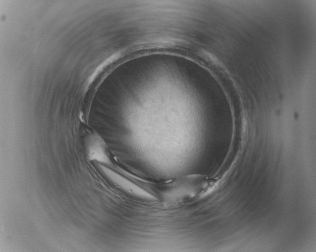 X0000053081210200508011957