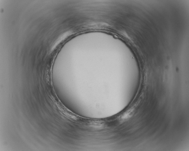 X0000053081211200508011957