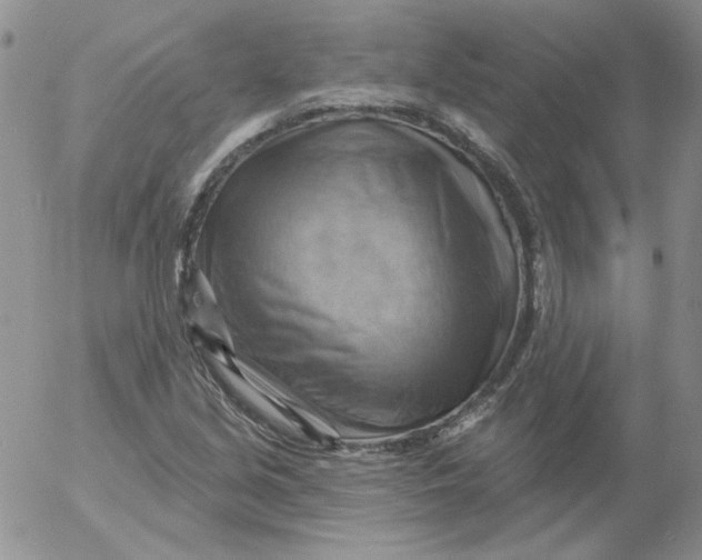 X0000053081213200508011957