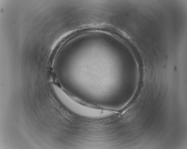 X0000053081214200508011957