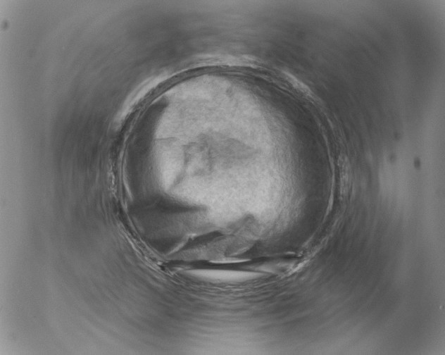 X0000053081215200508011957