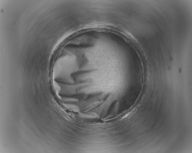 X0000053081216200508011957