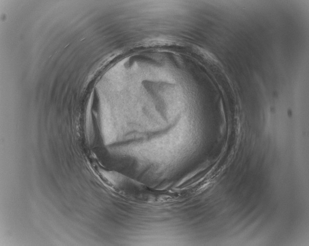 X0000053081217200508011957