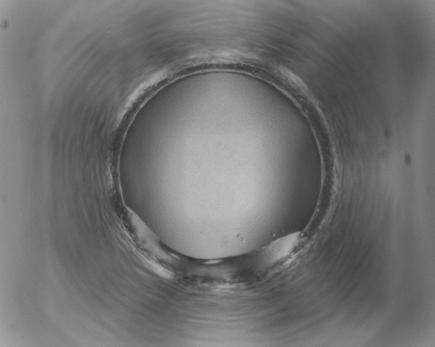 X0000053081218200508011957