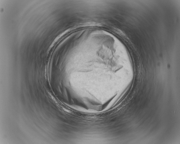 X0000053081220200508011957