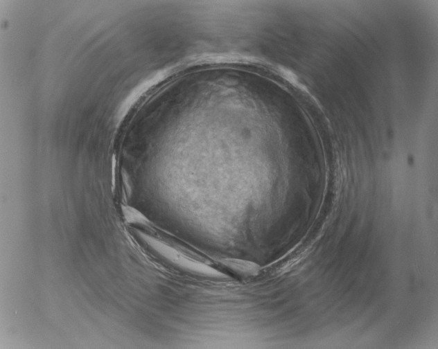 X0000053081221200508011957