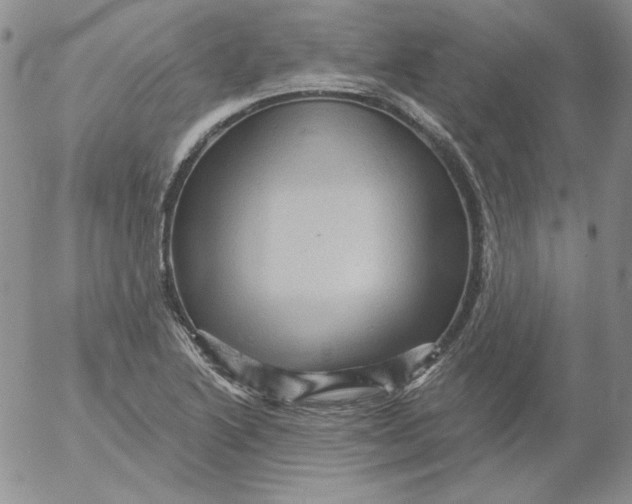 X0000053081222200508011957