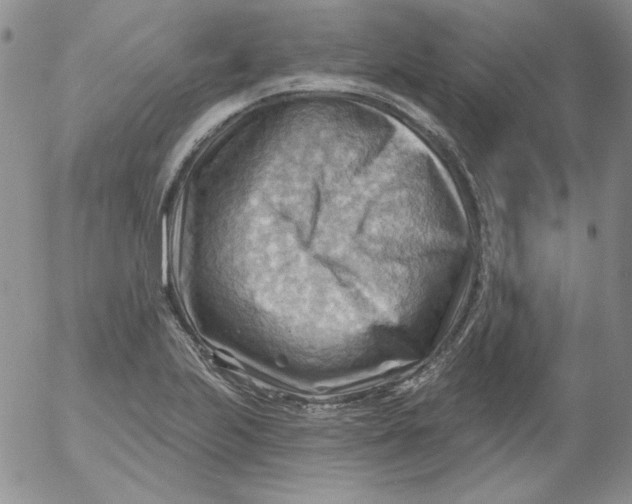 X0000053081223200508011957