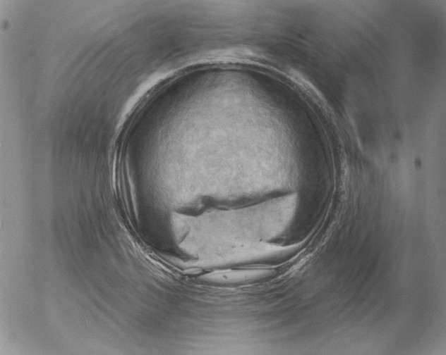 X0000053081224200508011957