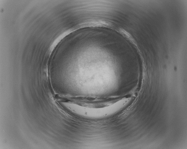 X0000053081226200508011957